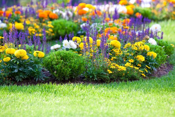 Flower Bed Maintenance in Sun City Center