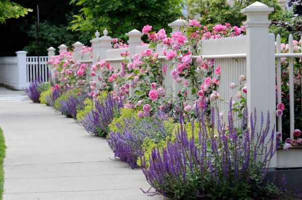 Garden Handyman Service in Sun City Center