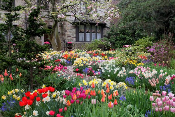 Garden Maintenance Service in Sun City Center