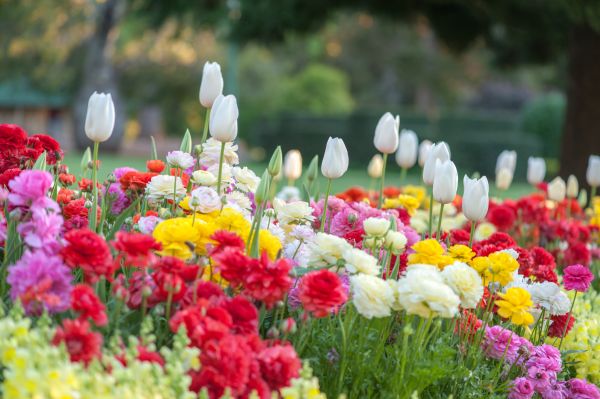 Gardening Service in Sun City Center