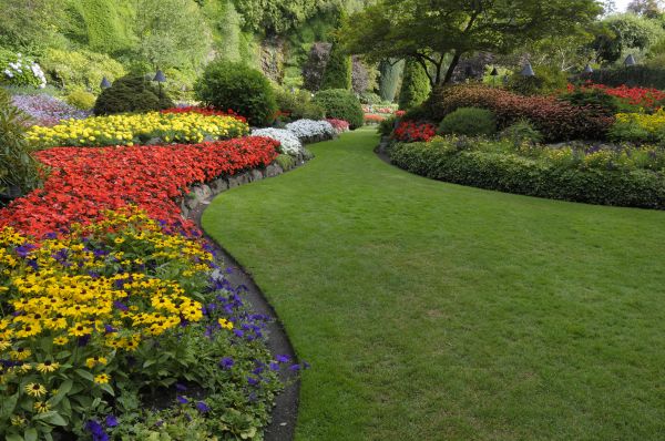 Landscaping Maintenance in Sun City Center