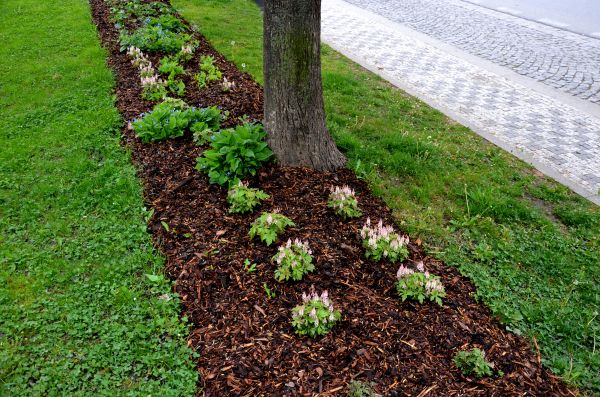 Mulch Replacement Service in Sun City Center