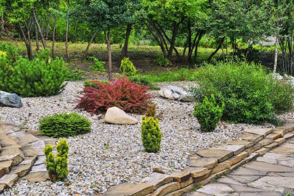 Rock Landscaping in Sun City Center