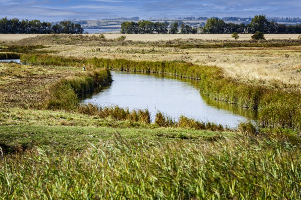 Swale Landscaping in Sun City Center