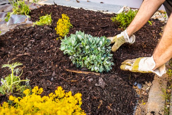 Weeding And Mulching in Sun City Center