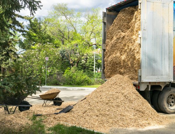 Wood Chips Delivery in Sun City Center