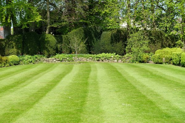 Lawn Renovation in Sun City Center