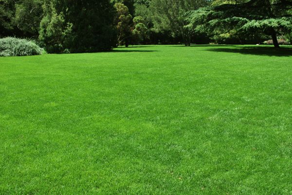 Lawn Landscaping in Sun City Center