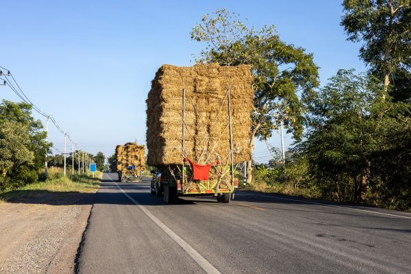 Pine Straw Delivery in Sun City Center