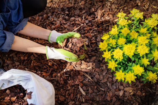 Garden Mulching in Sun City Center