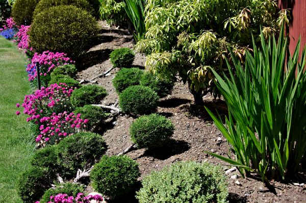 Residential Gardening in Sun City Center