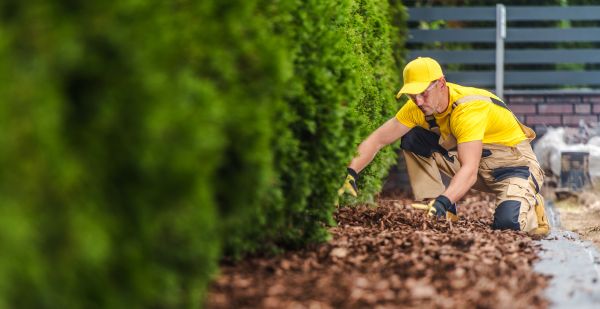 Cypress Mulch Installation in Sun City Center