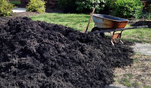 Black Mulch Installation in Sun City Center
