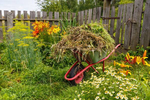 Garden Cleanup Service in Sun City Center