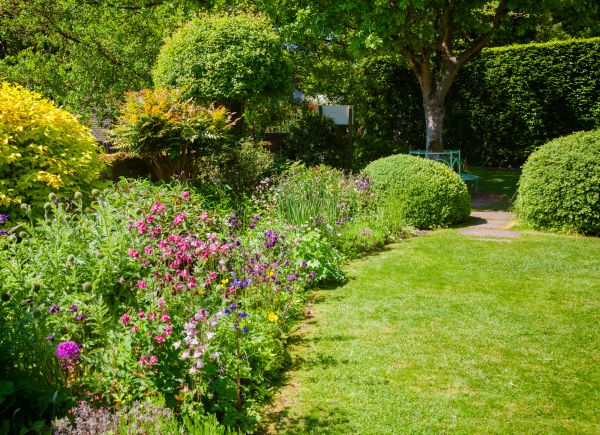 Yard Landscaping Service in Sun City Center