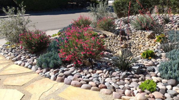 Xeriscape Landscaping in Sun City Center