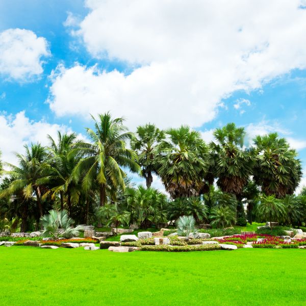 Tropical Landscaping in Sun City Center
