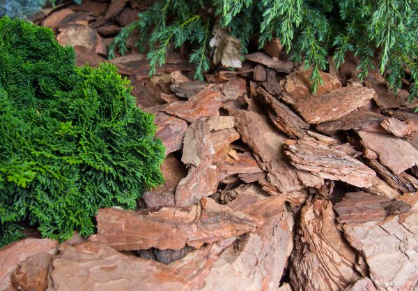 Pine Bark Installation in Sun City Center