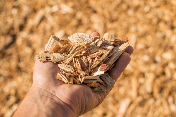 Wood Chips Spreading in Sun City Center
