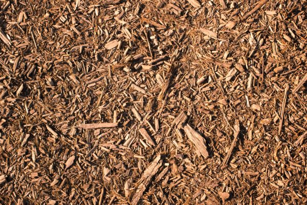 Wood Chips Removal in Sun City Center