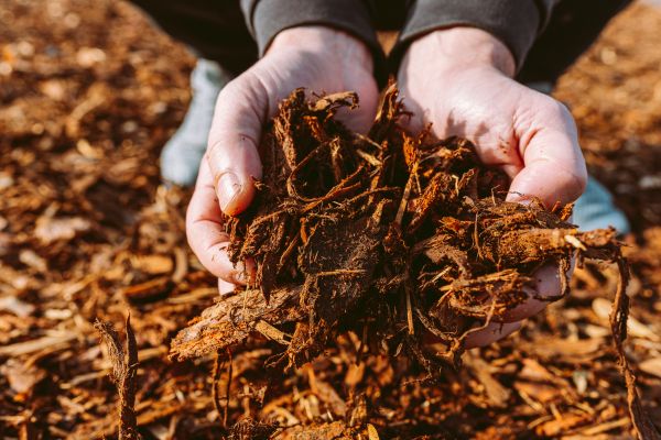 Bark Chips Delivery in Sun City Center