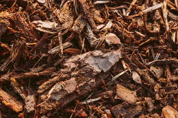 Bark Mulch Delivery in Sun City Center