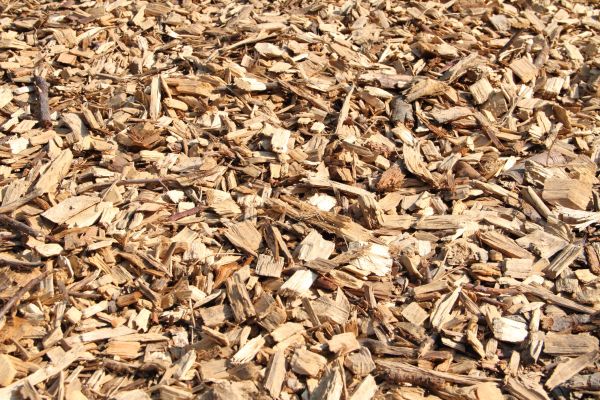 Wood Mulch Delivery in Sun City Center