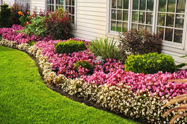 House Landscaping in Sun City Center