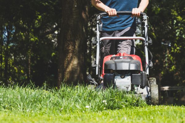 Garden Trimming Service in Sun City Center