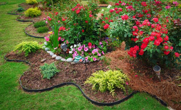 Floral Landscaping in Sun City Center