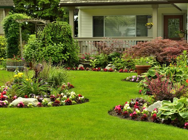 Flower Garden Planting in Sun City Center