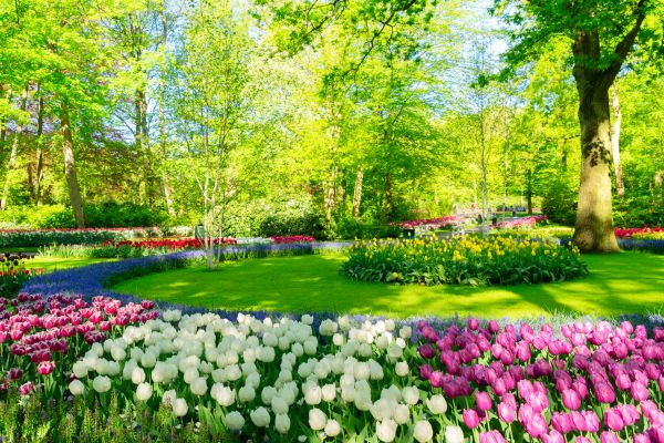 Flower Landscaping in Sun City Center