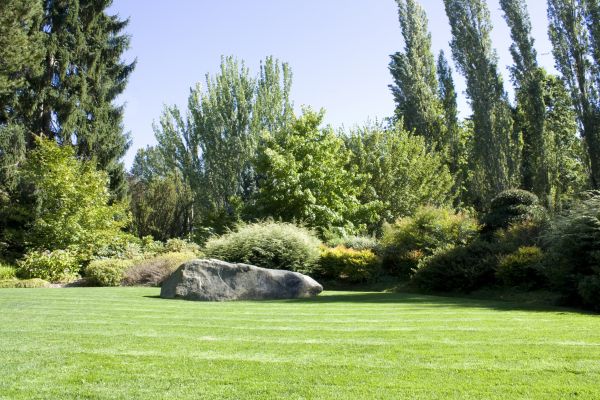 Yard Enlargement in Sun City Center