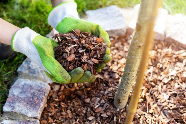 Tree Bark Delivery in Sun City Center