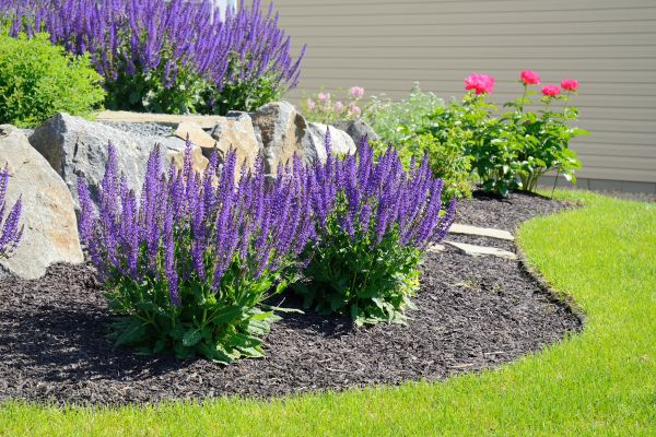 Landscape Planting Service in Sun City Center