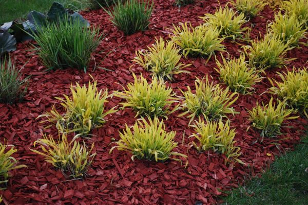 Red Mulch Installation in Sun City Center