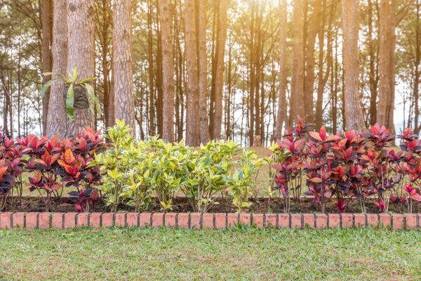 Small Garden Landscaping in Sun City Center