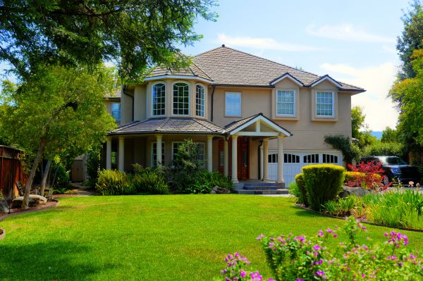 Large Yard Landscaping in Sun City Center