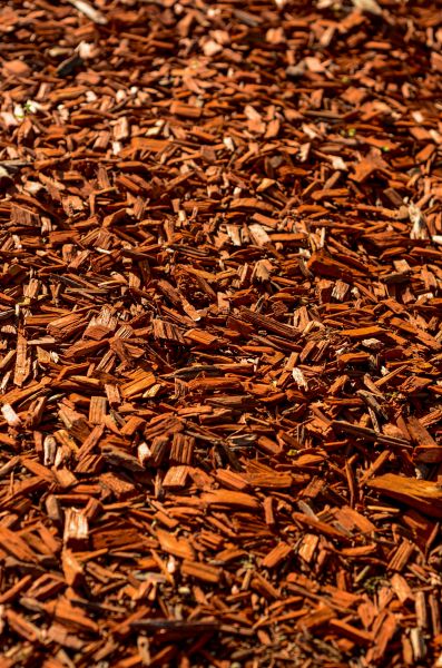 Cedar Mulch Spreading in Sun City Center