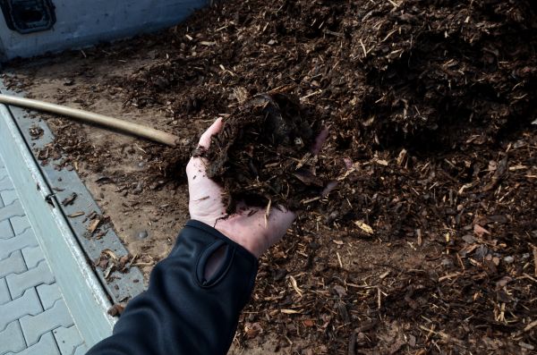 Condo Mulching in Sun City Center