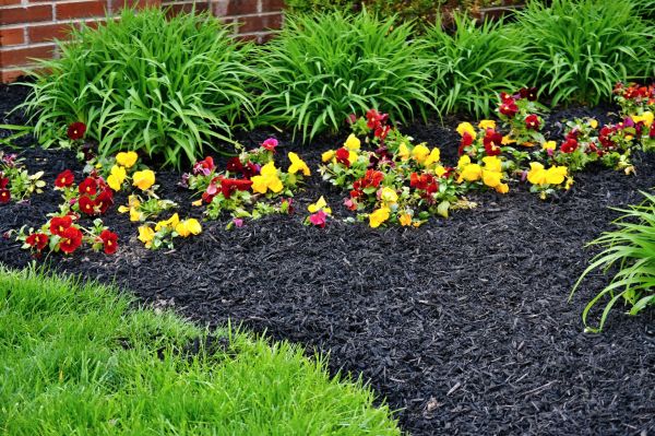 Apartment Mulching in Sun City Center