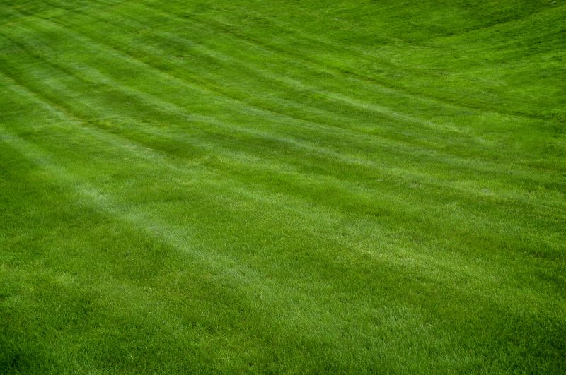 Lawn and Turf Care