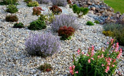 River Rock Garden Installation